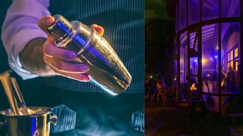 India’s Edible Oil Output Seen At 9.6 Million Tonnes In 2025–26 ...