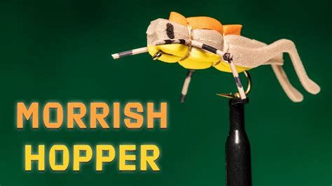 Image result for Morrish Hopper Fly Pattern