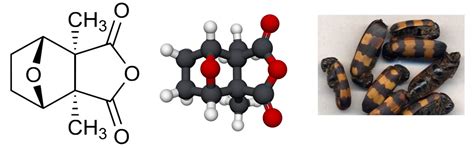 Figure 1. The chemical structure of cantharidin (2,6-Dimethyl-4,10 ...