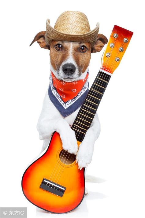 人會唱歌很常見，但你看過狗唱歌嗎？唱歌小狗登場《美國達人秀》 - 每日頭條
