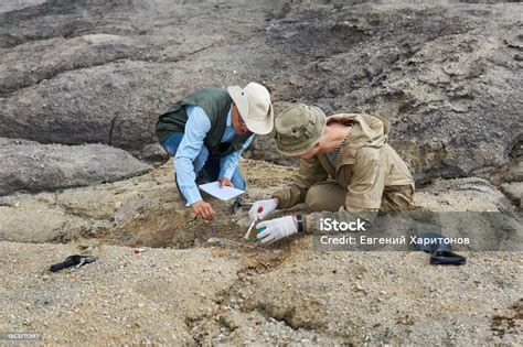Paleontologists 的图像结果