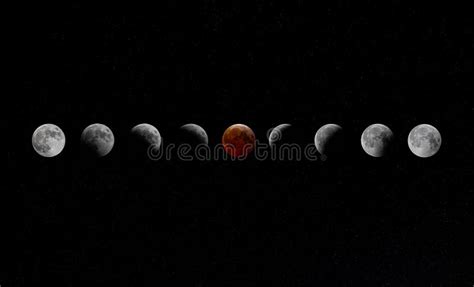 Total Lunar Blood Moon Eclipse Phases March 2025 Stock Photo - Image of ...