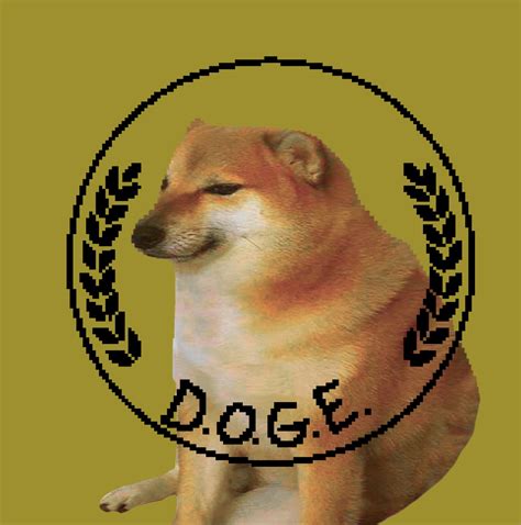 TikTok ban: Sen. Markey tries to give a 270-day extension | The Verge