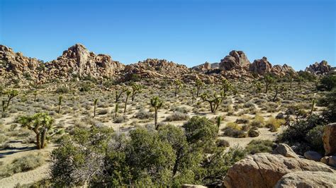 Hidden Valley Nature Trail in Joshua Tree National Park | 52 in 52 ...