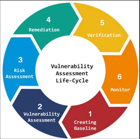 Vulnerabilities Assessment 的图像结果