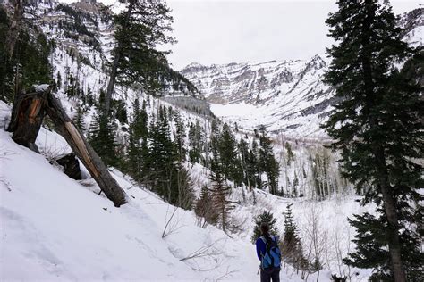 Beautiful winter scene near the trailhead. - Stewart Falls - Mount ...
