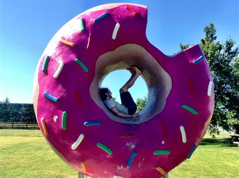 Image result for Springfield NZ