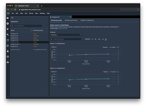 Sagemaker Machine Learning 的图像结果