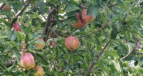 Image result for Code.org How Lesson 16 Part 7