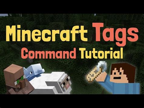 Image result for How to Add Tag Command to a Minecraft Block