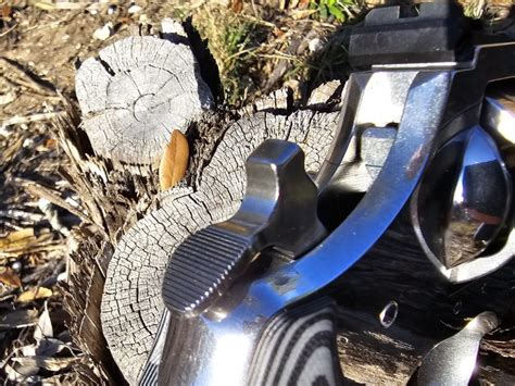 Image result for New Model Colt Python Revolver Reviews