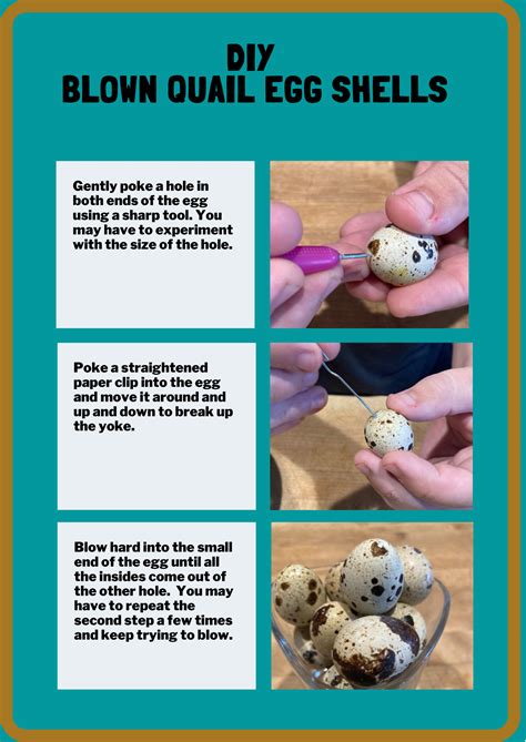 The benefits of quail eggs – Artofit