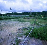 Image result for 空地 clearing