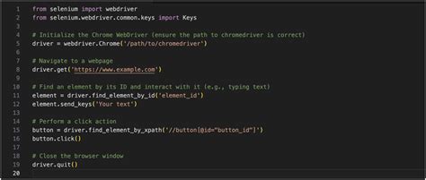 Image result for Make Python Web Driver Executable