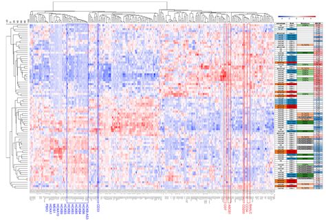Clinical Significance of ABCB1 in Acute Myeloid Leukemia: A ...