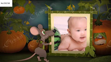 宝宝的小老鼠-萌宠视频-搜狐视频