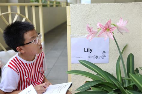 Primary School Science 的图像结果