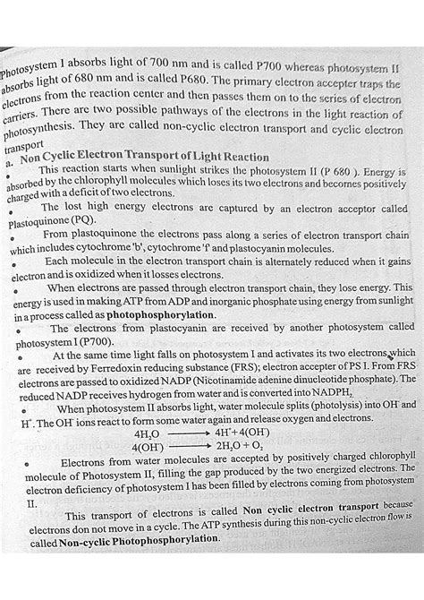 SOLUTION: Mechanism of photosynthesis class11th 10 th 9th 8th notes - Studypool