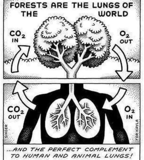 Science Thinking 的图像结果