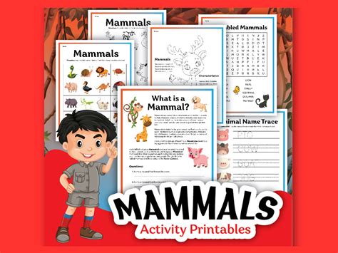 Mammals Characteristics Worksheet