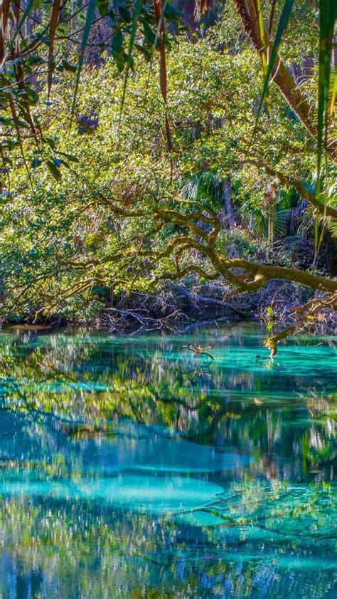 Bing Wallpaper 的图像结果