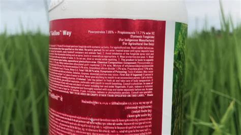 Dupont Galileo Way Fungicide | धान में कांडुआ रोग, शीथ ब्लाइट आदि रोगों ...