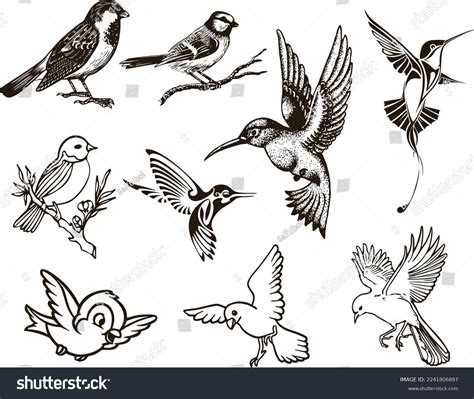 Digital Silhouettes Birds Bird Vector Illustration Stock Vector (Royalty Free) 2241806897 ...