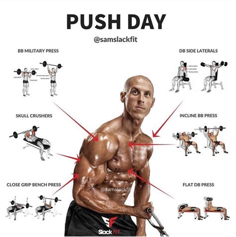Pin by Chezcvheck on Weighted workouts | Push workout, Push day ...
