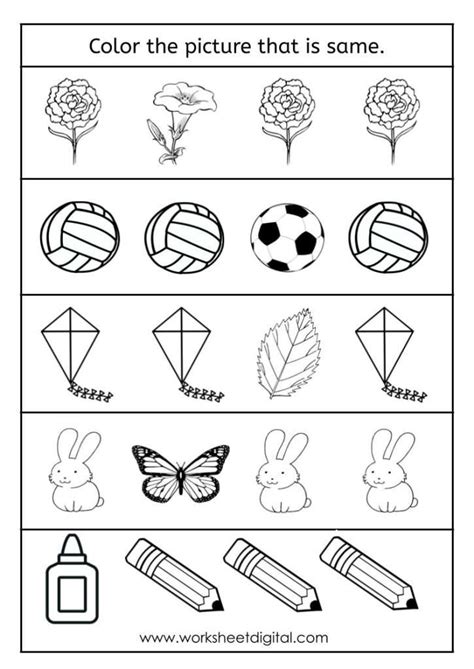 Same Difference Worksheet 的图像结果