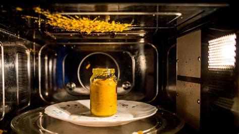 Image result for Why Meat Explode in Microwave