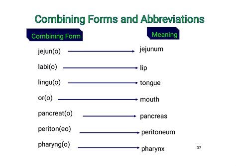 Medical terminology: digestive system | PDF