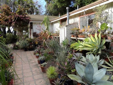 danger garden: Visiting San Marcos Growers