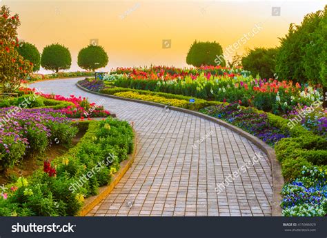 Walk Path 的图像结果