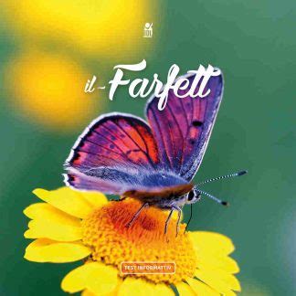 Image result for Beautiful Java GUI