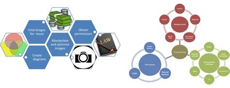 Image result for SQL High Level Architecture Database