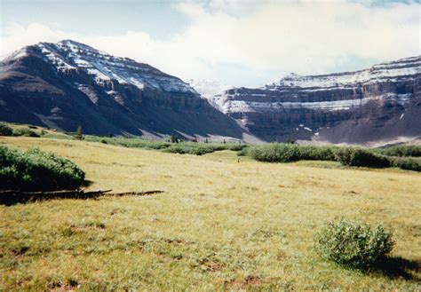 Sod King Utah: Premium Sod Delivery & Installation