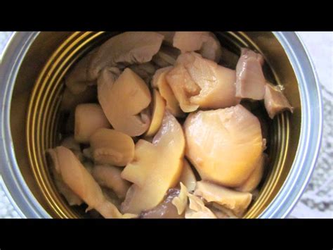 Lasagne Maison Régaler Vous ??   YouTube