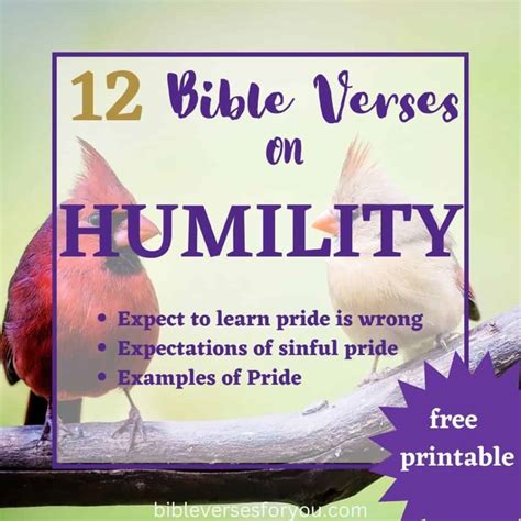 12 Humbling Bible Verses about Humility - Bible Verses for You