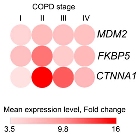 A Combined Bioinformatics and Clinical Validation Study Identifies MDM2 ...