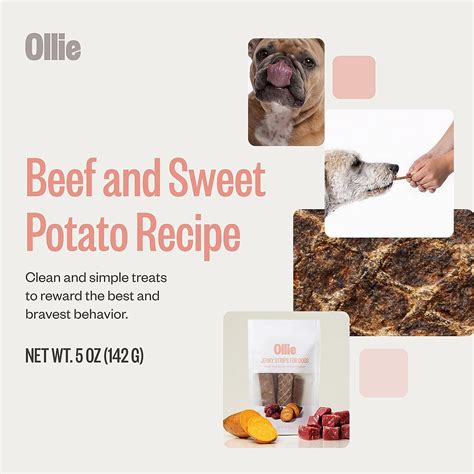 Buy Ollie Beef and Sweet Potato Jerky Recipe Dog Treats - Dog Jerky ...