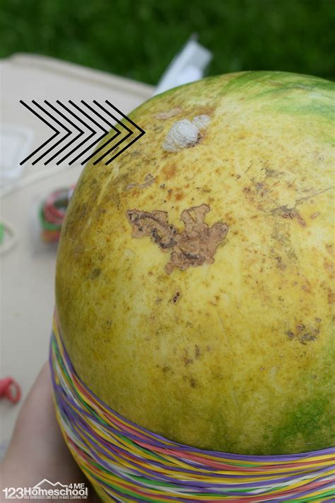 🍉 Exploding Watermelon Science Experiment for Summer