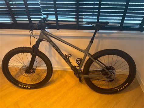 Trek roscoe 8 grey online