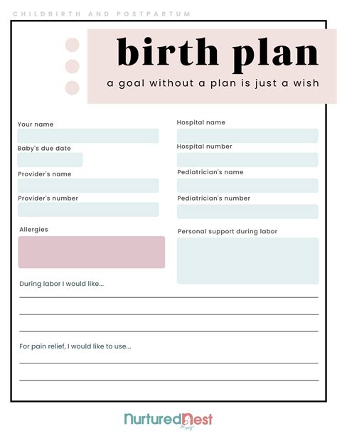 Free Birth Plan Template + Online Childbirth Class Option – Nurtured Nest