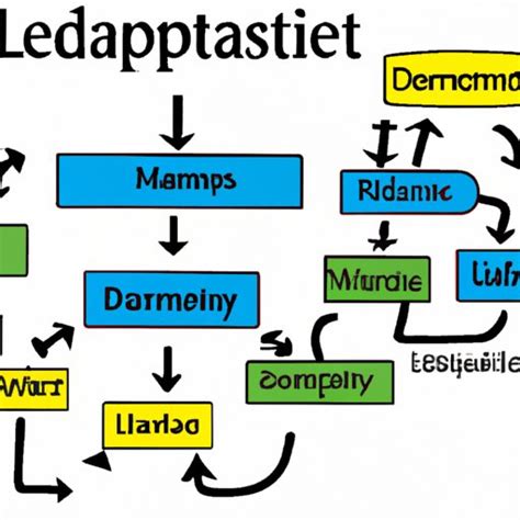 Lean Leadership Model 的图像结果