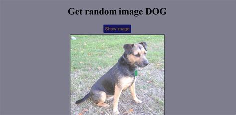 HelloWorld JavaScript Dog Name 的图像结果