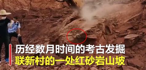 广东河源恐龙博物馆馆藏恐龙蛋化石超2万枚