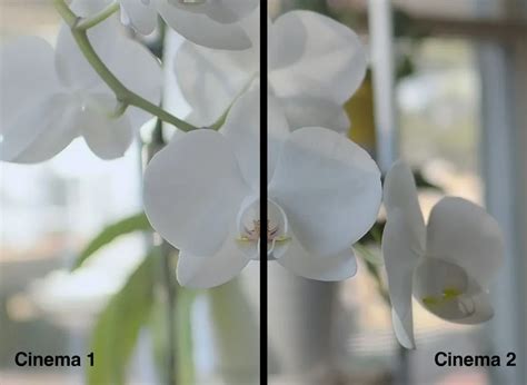 OM SYSTEM OM-3: Compact Power, Creative Freedom