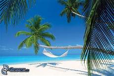 amaca sul mare maldive amaca sul mare maldive