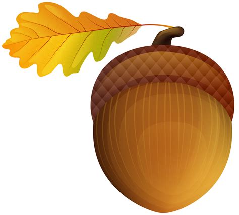 acorn images clip art 20 free Cliparts | Download images on Clipground 2025