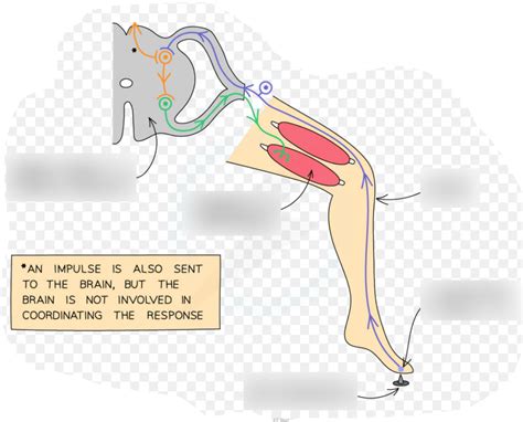 Biological Approach Examples 的图像结果